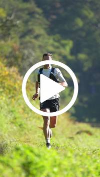 BIB:  <button type="button" onclick="openModal(26571742)" class="btn btn-primary btn-sm float-right" data-toggle="modal" data-target=".modal-high-quality">
                <i class="fa fa-download"></i> Download
                </button>